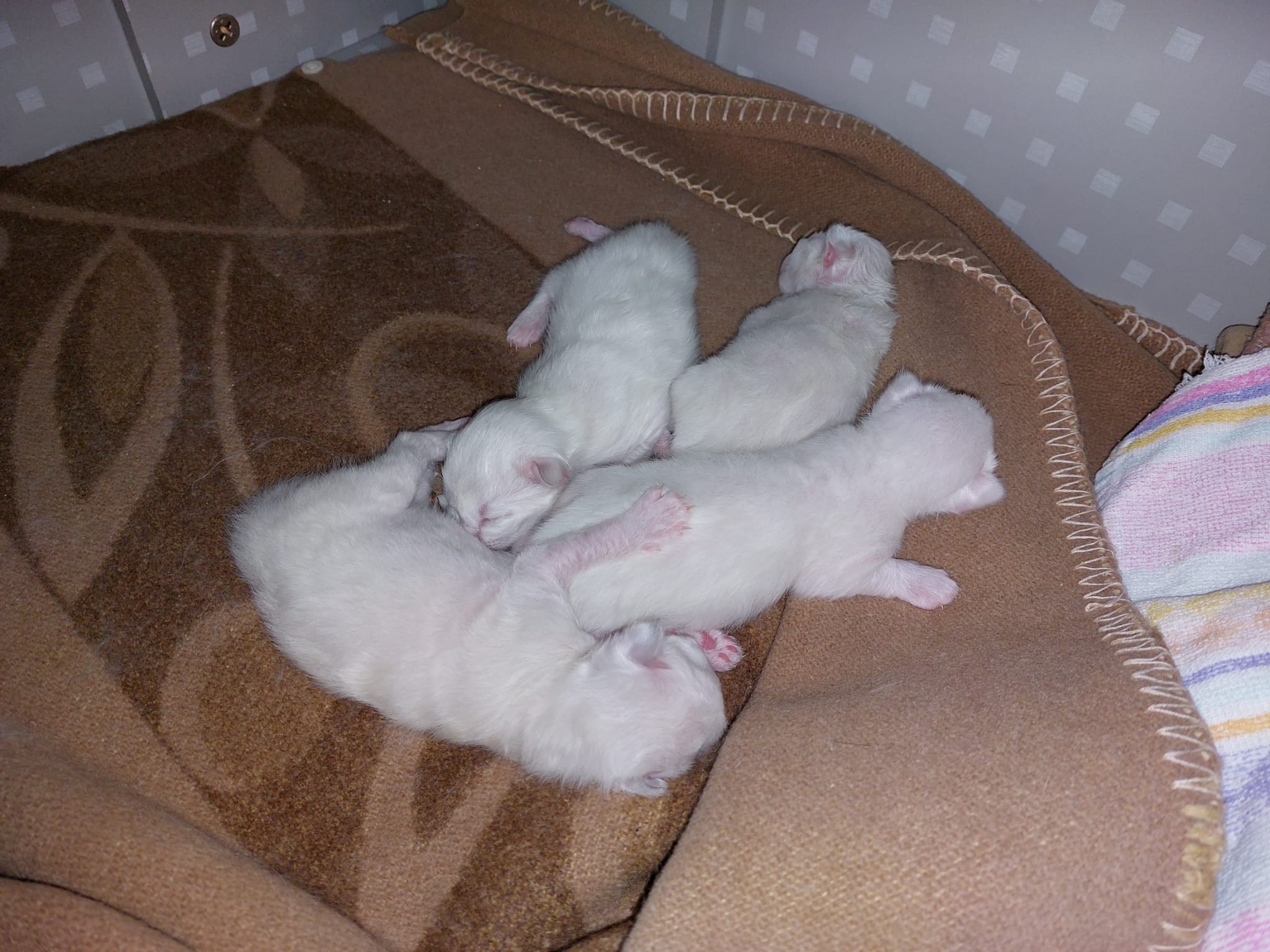 15 IMG 28891